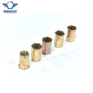 Bán Buôn Nhỏ Chìm Đầy Đủ Lục Giác Đinh Tán Nut Carbon Thép Mạ Kẽm Nut Với Hex Đầu Phẳng Cho Chăm Sóc Sức Khỏe Các Ứng Dụng - Product Image 4