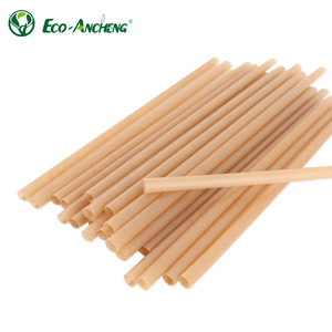 Sinh thái thân thiện phân hủy sinh học compostable mía bã mía dùng một lần uống rơm cho cắm trại - Product Image 2