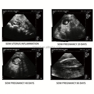 Alat USG Veteriner Portabel KT-W005, Scanner Diagnostik Hewan Genggam Murah, Probe Lemak Rektal dan Lemak Belakang - Product Image 6