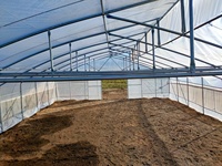 Serre agricole en polycarbonate en dents de scie pour toit papillon Évent électrique à toit ouvert à travée unique pour légumes