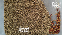 Kleur sorteermachine, kleursorteerder, pinda kleursorteerder, functies voor rijst, maïs, koffie, kersen, gedroogd fruit kleursorteermachine