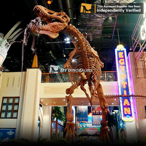 Mi <span class=keywords><strong>DINO</strong></span> DS-038 juegos tamaño <span class=keywords><strong>T</strong></span>-<span class=keywords><strong>Rex</strong></span> dinosaurio esqueleto de atracción - Product Image 3