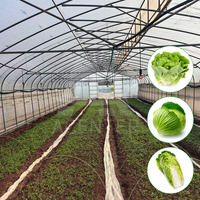 Acenter Grande serre agricole à travée unique de 8x30m Toiture en dents de scie évents latéraux Film PE 200 micron certifié CE pour Tropical