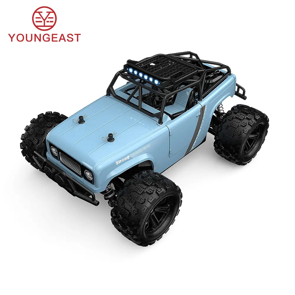 YOUNGEAST DM-1813 Suitable for all weather Super battery power outdoor toys offroad rc car hobby grade 4wd high speed