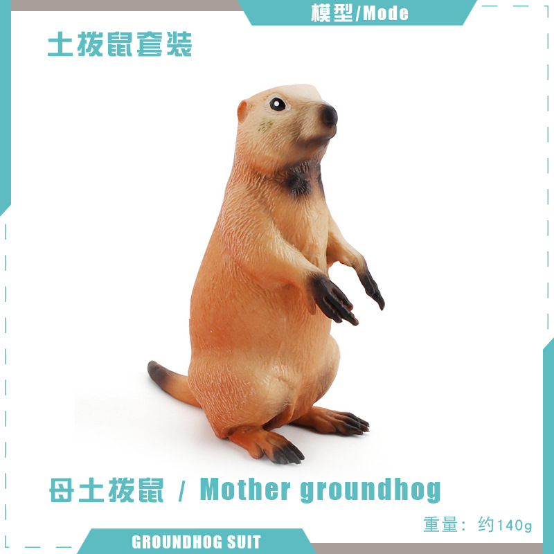 T15721 Madre marmota 140g