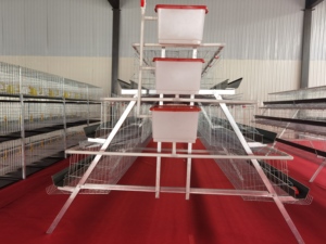 新款BeYou BeYou-<span class=keywords><strong>Cage</strong></span> 3层5门层笼A型120只鸡冷镀锌多功能动物笼用于蛋鸡场使用 - Product Image 2