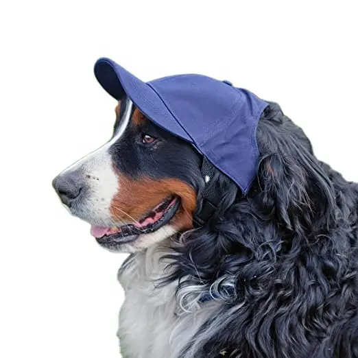 Fuente de la fábrica de gorra de béisbol sombrero perro mascota perro al aire libre sombrero de tres tamaño con logotipo de bordado