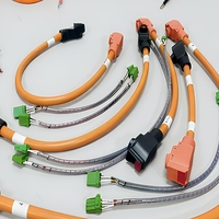 Câblage haute tension pour véhicules électriques, faisceau de câbles, pack de batteries, câble d'intégration de charge, assemblage OEM ODM personnalisé