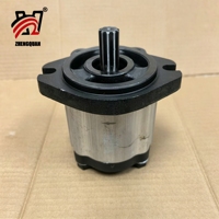 Pompe à engrenages à haute pression Zhengquan CBN2-F312 TRYY à 10 cannelures, en fonte noire, pour dosage, résistante à la corrosion, usinage hydraulique