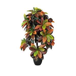 PIANTE DI CROTON 133CM GR - Product Image 1