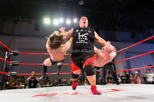 FightBro EPW <span class=keywords><strong>wwe</strong></span>职业摔跤圈 - Product Image 2