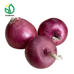 Fresh Onion Buyer