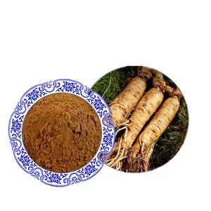 Melhor preço pele produtos panax ginseng raiz extrato coreano ginseng vermelho extrato