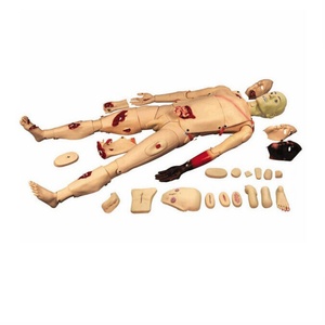 Mannequins de formation aux soins infirmiers traumatiques J110, mannequins médicaux de premiers secours, modèle pour l'enseignement professionnel des sciences médicales - Product Image 1
