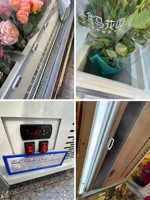 Vitrine réfrigérée pour fleurs à refroidissement par air, dégivrage automatique, multi-niveaux, pour roses fraîches coupées