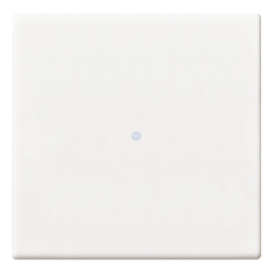 White Axial <b>Push</b> <b>Button</b> <b>Switch</b> 4.5 In Length 0.6 In Height For Electrical Applications - Product Image 1