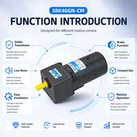 Motor de Engranajes de CA Reversible Compacto ZD 40W 5RK40GN-CM Monofásico 50/60Hz IP20 para Máquina de Embalaje con Banda Transportadora