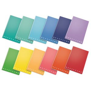 PIGNA - CARNET MONOCHROME 42 FEUILLES A5 CARRES ASSORTIS - Product Image 1