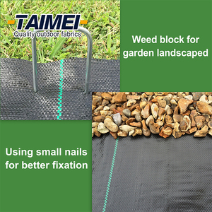 PP copertura del terreno tessuto tessuto paesaggio di plastica erba stuoia Anti Weedmat per azienda agricola - Product Image 5