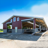 Estructuras de Acero Prefabricadas Modulares Ligeras, Establos Prefabricados para Caballos, Ovejas, Cabras y Vacas, Edificio de Estructura de Acero de Alta Resistencia