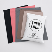 Sacs en plastique PE mat givré multicolores recyclables et écologiques avec fermeture éclair, imprimés sur mesure pour vêtements et t-shirts