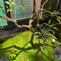 Arbre artificiel surdimensionné de type Pieris Japonica, plante verte artificielle, décoration paysagère minimaliste pour l'aménagement intérieur et des fenêtres