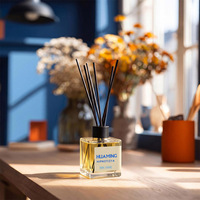 Diffuseur de parfum d'ambiance en verre transparent carré de 120 ml avec logo personnalisé, bâtonnets en fibre noire, emballage personnalisé, coffret cadeau