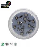 Lampes LED RGB haute luminosité AC24V 45MM préprogrammées, corps en plastique IP65, éclairage pour manèges de fête foraine et montagnes russes