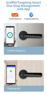 Empreinte digitale mot de passe en alliage de Zinc poignée intelligente serrure Tuya ou Ttlock App bouton de porte numérique serrure Rfid carte clé poignée de verrouillage électrique - Product Image 3