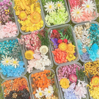 Boîte de fleurs séchées mélangées DIY, matériaux pour fleurs éternelles, décoration de gâteaux, fabrication de bougies, résine, savon, nail art, bijoux