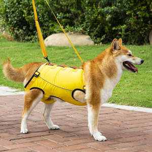 เสื้อกั๊กช่วยพยุงสุนัขสูงวัย <span class=keywords><strong>ป่วย</strong></span> หรือพิการ  พร้อมสายรัดและอุปกรณ์ช่วยพยุงสัตว์เลี้ยง  สำหรับช่วยยกและดูแลสุนัข - Product Image 3
