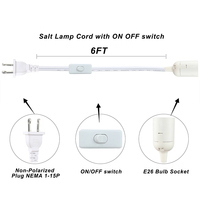 Fil de lampe standard américain 18AWG 2C avec interrupteur pour luminaires suspendus