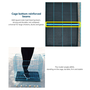 Chăn nuôi gia cầm nuôi trứng lồng kim loại gà lớp Lồng cho Gà Thịt lớp - Product Image 3