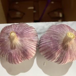 <span class=keywords><strong>Ail</strong></span> rouge frais de Chine 2025, <span class=keywords><strong>ail</strong></span> violet, <span class=keywords><strong>bulbe</strong></span> à vendre - Product Image 5