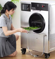 Fruit En Groenten Vacuüm Vriesdroger Lyofilisator Kleinschalige Volledig Automatische Vriesdroogmachine