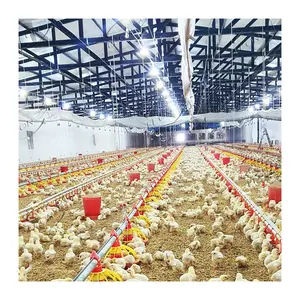 Chinese broiler chicken house poultry farm equipment