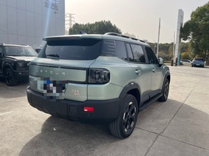 Jetour Liberty 2.0T 4WD 2024, SUV Usado, Volante a la Izquierda, Color Verde en Exterior/Interior, Tracción en las Cuatro Ruedas, Automático, 2000 km, Pintura Nueva, Exportación, Euro VI - Product Image 6