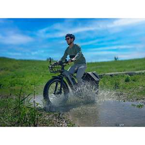 Vélo électrique tout-terrain D5 (Zebra) Premium, autonomie 60 km, 48V 350W, avec moteur roue arrière pour la conduite tout-terrain, multicolore Zebra Pre - Product Image 4