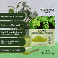 Usine en gros 100% naturel Moringa Olefera feuille poudre énergie soutien immunitaire