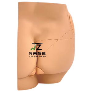 चिकित्सा शिक्षण शैक्षिक उपकरण हिप बटकॉक इंजेक्शन मॉडल - Product Image 4