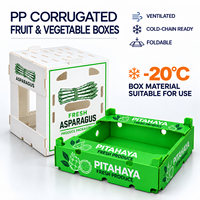 Boîte en plastique ondulé PP pour fruits et légumes, taille et impression personnalisées pour l'emballage des produits et la distribution en gros