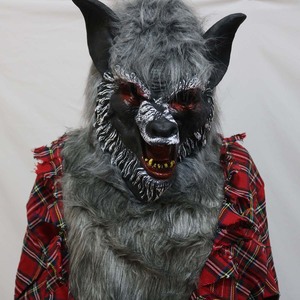 Halloween Cosplay Ensemble Complet Top Pantalon Chapeaux Gants Hommes <span class=keywords><strong>Loup</strong></span>-<span class=keywords><strong>Garou</strong></span> <span class=keywords><strong>Costume</strong></span> KCFC-036 - Product Image 3