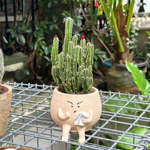Jardinière <span class=keywords><strong>de</strong></span> succulentes en forme <span class=keywords><strong>de</strong></span> méchant <span class=keywords><strong>de</strong></span> dessin animé écologique en résine enduite d'époxy légère durable pour créatif et intéressant - Product Image 2