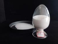 Corindon blanc WA 99,0 % – Grains d'alumine fondue pour la préparation de revêtements par projection thermique