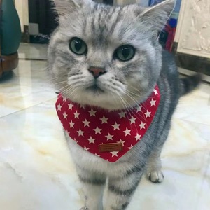 Bufanda Triangular para Gato con Diseño de Estrella Roja, Accesorio Decorativo para Mascotas, Estilo Simple para Todas las Estaciones - Product Image 1