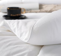 Couettes et couvre-lits d'hôtel en coton pur blanc respirant imprimé, simples, pour l'automne, et édredons en lin brossé