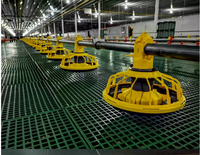 Système d'alimentation automatique pour élevages avicoles avec contrôle environnemental, mangeoire à vis sans fin pour 50 000 poulets de chair, neuf, certifié CE MUHE
