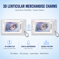 Porte-clés lenticulaire 3D personnalisé en gros, breloque anime à bascule haut-bas, pendentif de sac en PET, décoration souvenir