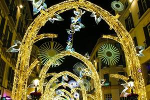 220V lumineux LED extérieur décoration de noël guirlandes lumineuses nouveau Motif <span class=keywords><strong>éclair</strong></span>é Tunnel arche <span class=keywords><strong>entrée</strong></span> foudre arc - Product Image 6