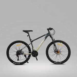 <span class=keywords><strong>Vente</strong></span> en gros de vélo <span class=keywords><strong>VTT</strong></span> Offre Spéciale <span class=keywords><strong>DH</strong></span> 29 "vélo de montagne de descente professionnel avec pédales <span class=keywords><strong>VTT</strong></span> haut de gamme et cycle à double frein à disque - Product Image 4
